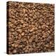 French Roast Whole Coffee Beans-Alexander Feig-Premier Image Canvas