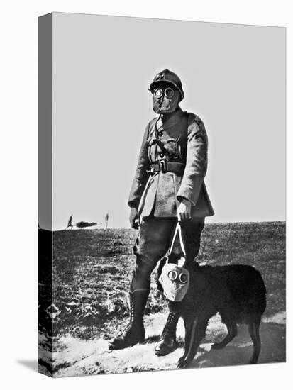 French Soldier and Dog Wearing Gas Masks on the Western Front, 1917-null-Premier Image Canvas