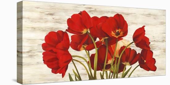 French Tulips-Serena Biffi-Stretched Canvas