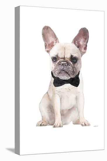 Frenchie II-Amanda Greenwood-Stretched Canvas