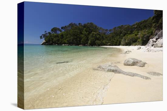 Frenchman's Bay Beach, Abel Tasman National Park, Nelson Region, South Island, New Zealand, Pacific-Stuart Black-Premier Image Canvas
