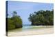 Frenchman's Cove, Portland Parish, Jamaica, West Indies, Caribbean, Central America-Doug Pearson-Premier Image Canvas