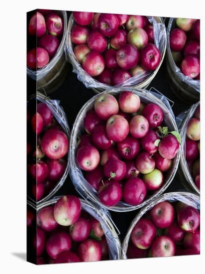 Fresh Apples, Beulah, Lake Michigan Shore, Michigan, USA-Walter Bibikow-Premier Image Canvas