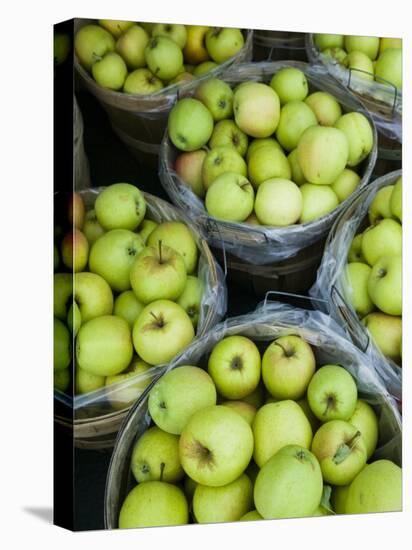 Fresh Apples, Beulah, Lake Michigan Shore, Michigan, USA-Walter Bibikow-Premier Image Canvas