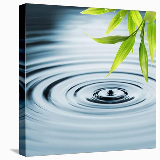 Fresh Bamboo Leaves over Water-null-Stretched Canvas