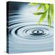 Fresh Bamboo Leaves over Water-null-Stretched Canvas