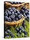 Fresh Blueberries in Wicker Baskets-Stuart MacGregor-Premier Image Canvas