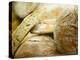 Fresh Bread, Trogir, Croatia-Russell Young-Premier Image Canvas