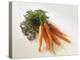 Fresh Carrots with Tops-Amos Schliack-Premier Image Canvas