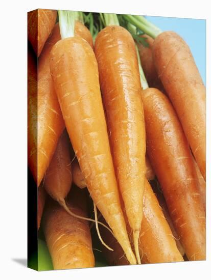 Fresh Carrots-Linda Burgess-Premier Image Canvas