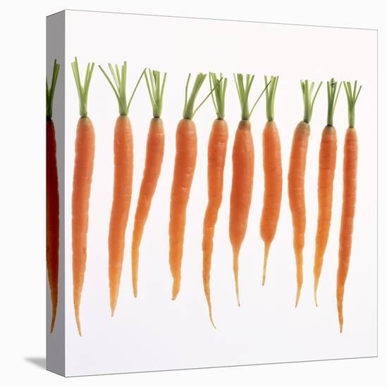 Fresh Carrots-Barbara Bonisolli-Stretched Canvas