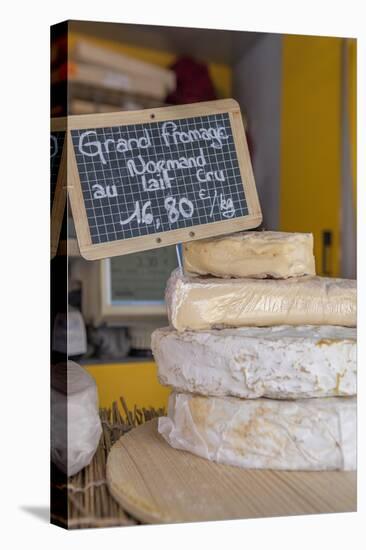 Fresh cheese, Bayeux, Normandy, France-Lisa S. Engelbrecht-Premier Image Canvas