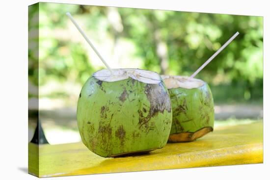Fresh Coconut-Paul_Brighton-Premier Image Canvas