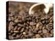 Fresh Coffee Beans Out of the Bag-Steven Morris-Premier Image Canvas