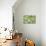 Fresh Cucumbers-Steve Gadomski-Premier Image Canvas displayed on a wall