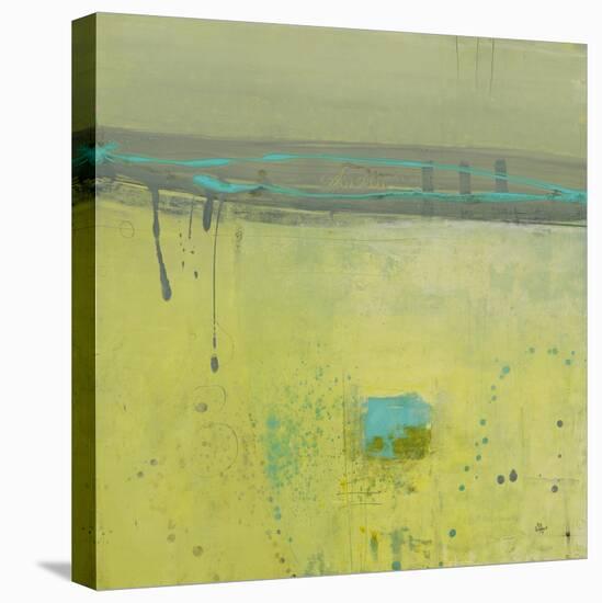 Fresh Dimensions-Lisa Ridgers-Stretched Canvas