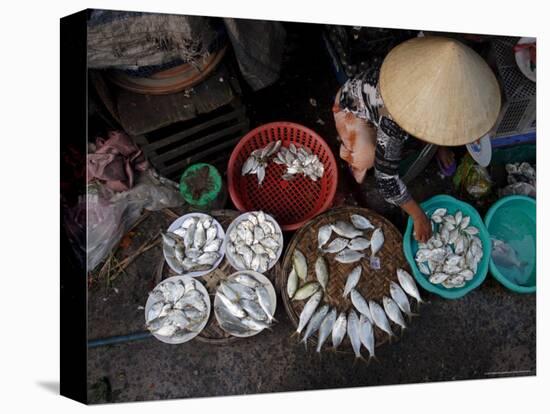 Fresh Fish at the City Market, Da Nang, Vietnam, Indochina, Southeast Asia-Andrew Mcconnell-Premier Image Canvas