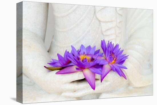 Fresh Flue Star Water Lily or Star Lotus Flowers in Buddha Image Hands-Iryna Rasko-Premier Image Canvas