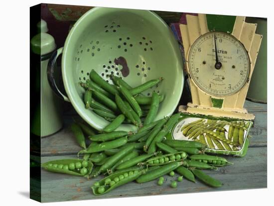 Fresh Garden Peas in an Old Colander with Old Salter Scales and Seed Packet-Michelle Garrett-Premier Image Canvas