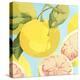 Fresh Grapefruits-Martha Negley-Premier Image Canvas