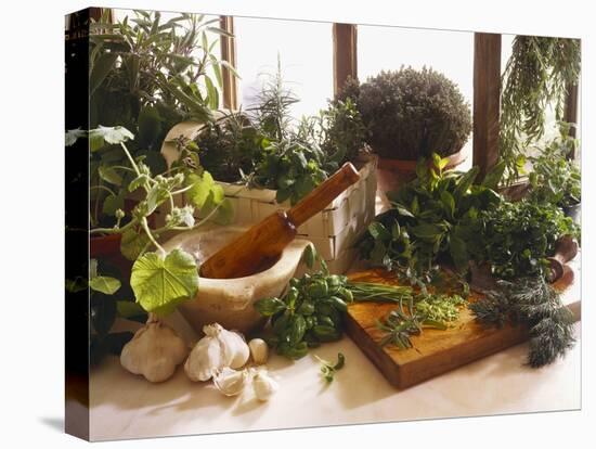 Fresh Herb Still Life-Eising Studio - Food Photo and Video-Premier Image Canvas