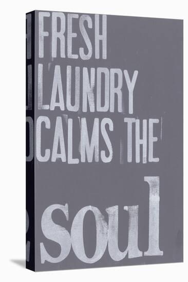 Fresh Laundry II-Deborah Velasquez-Stretched Canvas