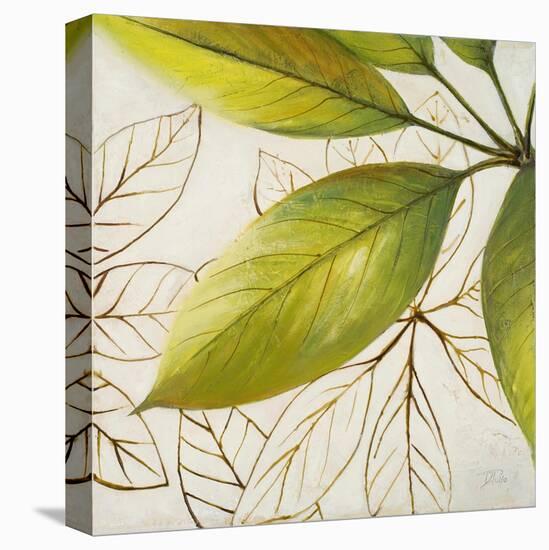 Fresh Leaves I-Patricia Pinto-Stretched Canvas