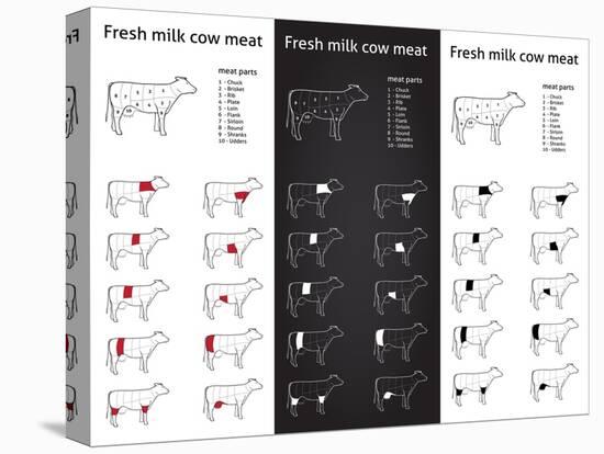 Fresh Milk Cow Meat Parts Icons for Packaging and Info-Graphic 1-ONiONAstudio-Stretched Canvas