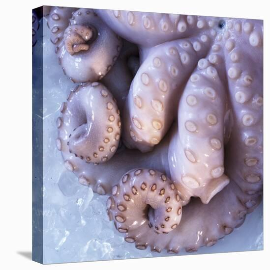 Fresh Octopus (Close-Up)-Alexander Feig-Premier Image Canvas