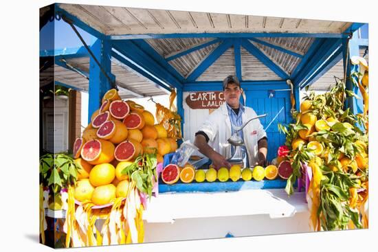 Fresh Orange Juice Vendor, Essaouira, Formerly Mogador, Morocco, North Africa, Africa-Matthew Williams-Ellis-Premier Image Canvas