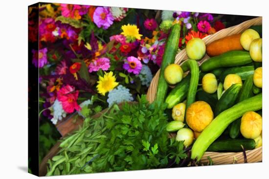 Fresh Organic Vegetables at a Farmers' Market, Savannah, Georgia, USA-Joanne Wells-Premier Image Canvas