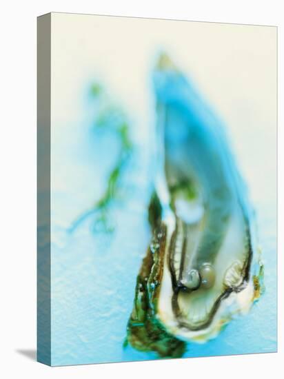 Fresh Oyster with Pearl-Jo Kirchherr-Premier Image Canvas