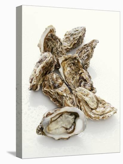 Fresh Oysters with Drops of Water-Kröger & Gross-Premier Image Canvas