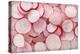 Fresh Radishes-Steve Gadomski-Premier Image Canvas