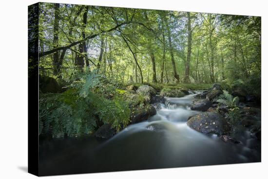 Fresh River-Philippe Manguin-Premier Image Canvas