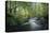 Fresh River-Philippe Manguin-Premier Image Canvas