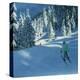 Fresh Snow, Morzine, France-Andrew Macara-Premier Image Canvas