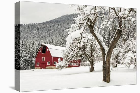 Fresh Snow on Red Barn Near Salmo, British Columbia, Canada-Chuck Haney-Premier Image Canvas