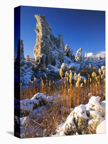 Fresh Snow on Tufa Formations & Cattails at Sunrise, Mono Lake, Inyo National Forest, CA-Scott T. Smith-Premier Image Canvas