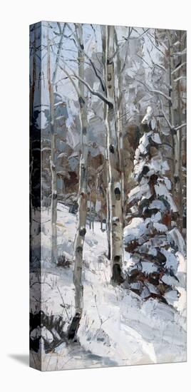 Fresh Snow-Robert Moore-Stretched Canvas