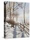 Fresh Snow-Lene Alston Casey-Stretched Canvas