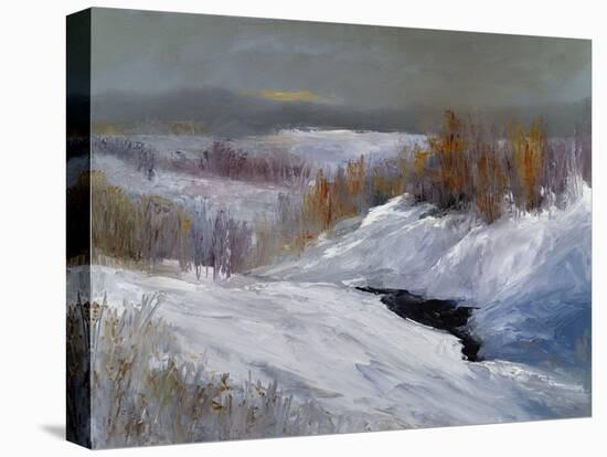 Fresh Snow-Sheila Finch-Stretched Canvas