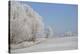 Fresh snowfall in winter scenery-Andrea Haase-Stretched Canvas