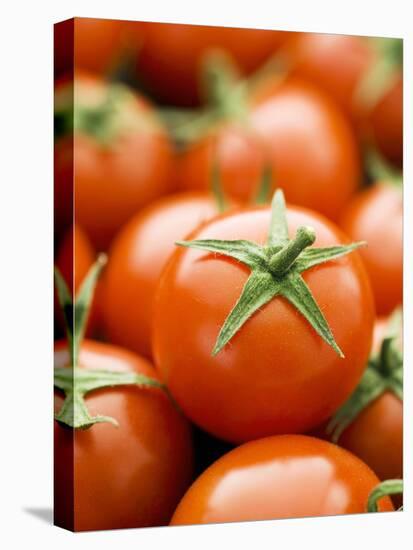 Fresh Tomatoes-Greg Elms-Premier Image Canvas