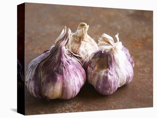 Fresh Violet and White Garlic, Clos Des Iles, Le Brusc, Cote d'Azur, Var, France-Per Karlsson-Premier Image Canvas