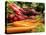 Freshly Harvested Carrots, Beetroot and Radishes from a Summer Garden, Norfolk, July-Gary Smith-Premier Image Canvas