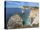 Freshwater Bay and Chalk Cliffs of Tennyson Down, Isle of Wight, England, United Kingdom, Europe-Roy Rainford-Premier Image Canvas