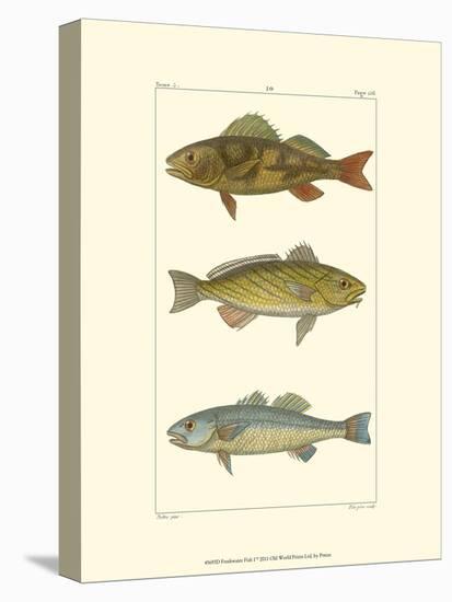 Freshwater Fish I-null-Stretched Canvas