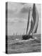 Friday Race Underway from Newport, Rhode Island to Vineyard Haven, Massachusetts-Walter Sanders-Premier Image Canvas