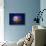 Fried Egg Jellyfish-null-Stretched Canvas displayed on a wall